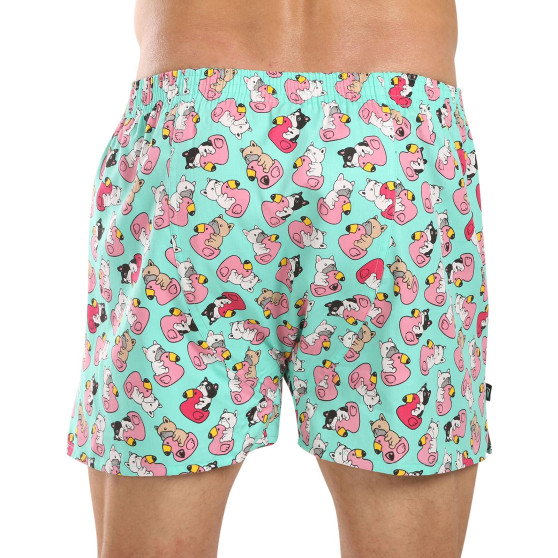 Represent Shorts Hommes exclusifs Ali Bulldog Bathing (R4M-BOX-0611)