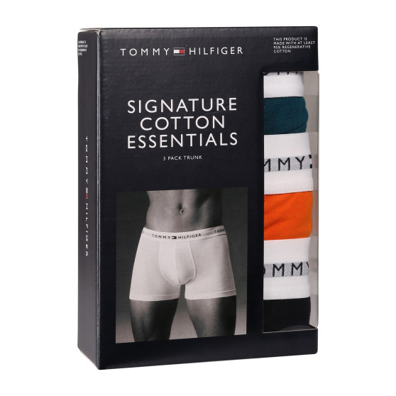 3PACK Boxers homme Tommy Hilfiger multicolore (UM0UM02761 0VH)