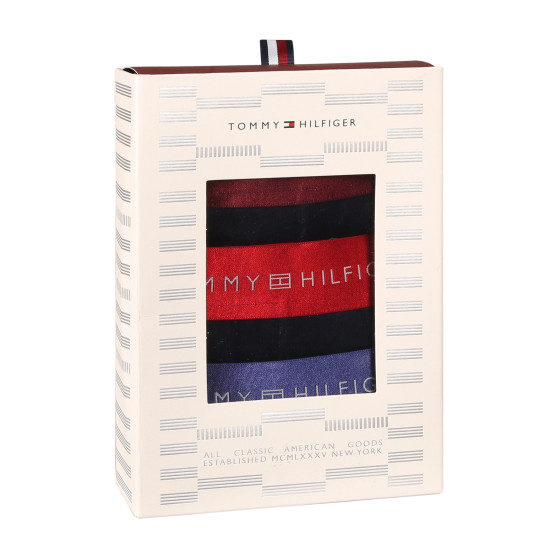 3PACK Boxers homme Tommy Hilfiger noir (UM0UM03411 0WP)